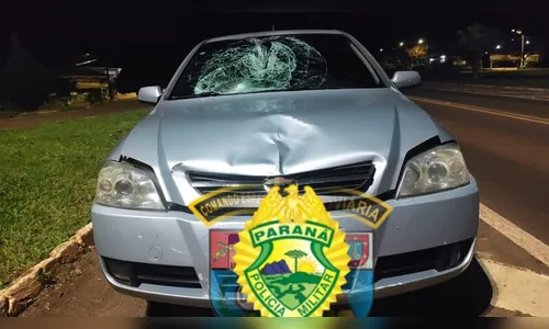 Homem atropelado na PR-466 em Jardim Alegre continua internado na UTI