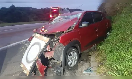 Cavalos invadem pista e causam grave acidente na BR-277 no Paraná