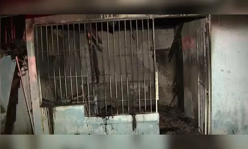 Paranaense invade casa em chamas para salvar pai, filho e cachorro