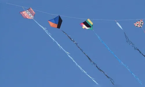 Pipas viram motivo de ameaças com pedaço de pau em Apucarana