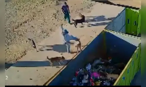 Homens arremessam e chutam cães em caçamba de lixo no PR; vídeo