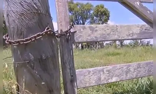 Criminosos invadem propriedade rural e furtam boi  de 15 arrobas