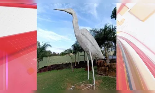 Fim do mistério: garça furtada em Londrina é encontrada pela GM