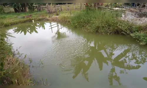 Criança de 2 anos morreu afogada após cair em tanque de peixes