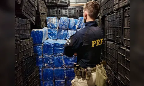 PRF apreende mais de 4 toneladas de maconha em Guarapuava