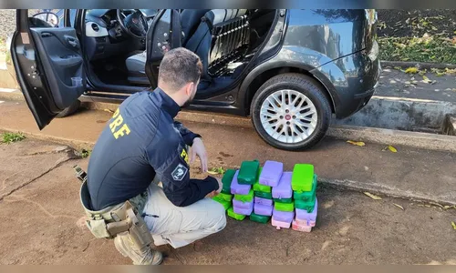 PRF apreende R$ 1 milhão em cocaína em tanque de combustível no PR