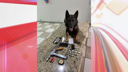 Polícia Civil prende homem e apreende submetralhadora no Fariz Gebrim