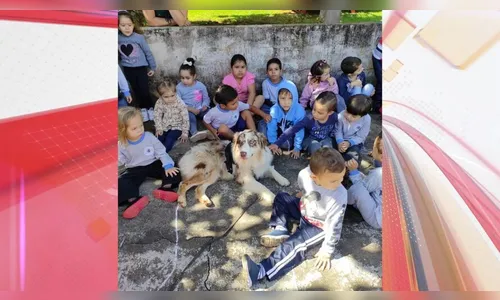 'Cão Amigo' da PM está entre os 6 melhores projetos de educação do BR