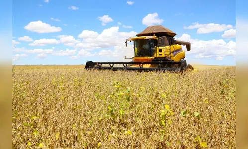 Exportações do Paraná alcançam R$ 70,8 bilhões entre janeiro e julho