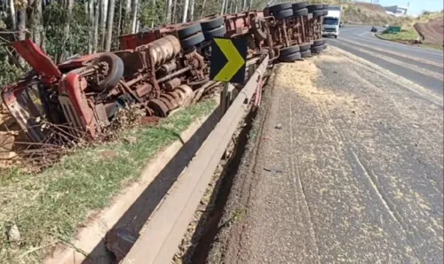 Soja ficou espalhada pela pista após caminhão tombar na PR-444