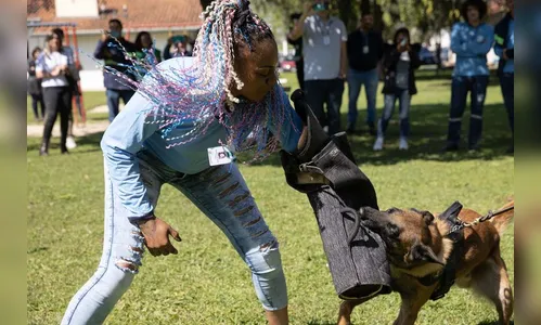 Colaboradores da Sanepar sofrem com ataques de cães no PR; entenda