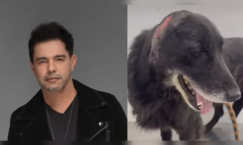 Zezé Di Camargo adota cão ferido que foi resgatado no Norte do PR