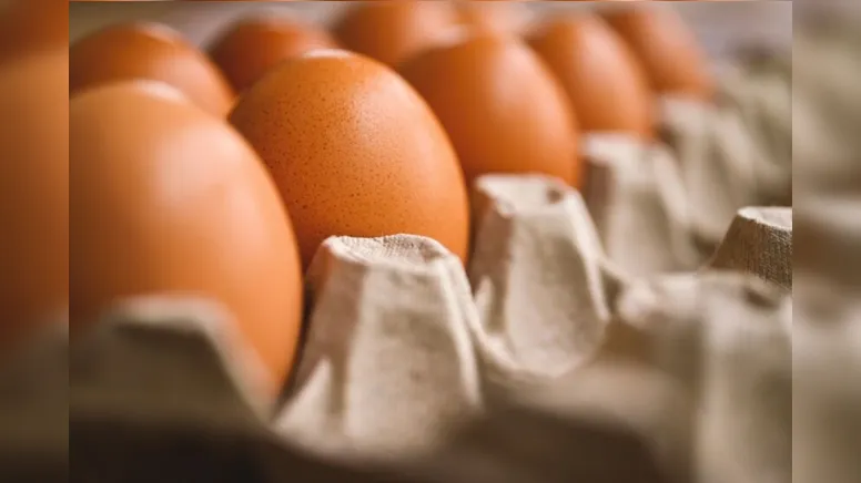 Imagem ilustrativa da notícia Picanha da campanha eleitoral ainda não baixou de preço, mas o ovo...