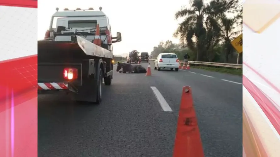 A PRF atendeu a ocorrência