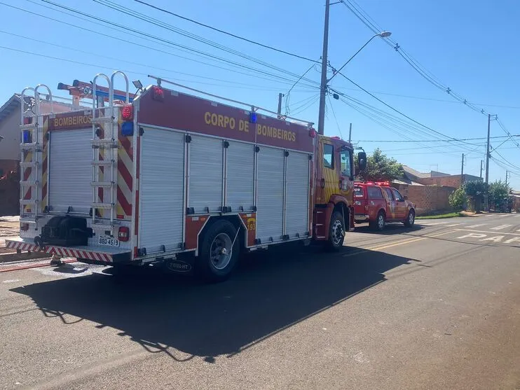 Corpo de Bombeiros foi acionado para atender o ataque das abelhas