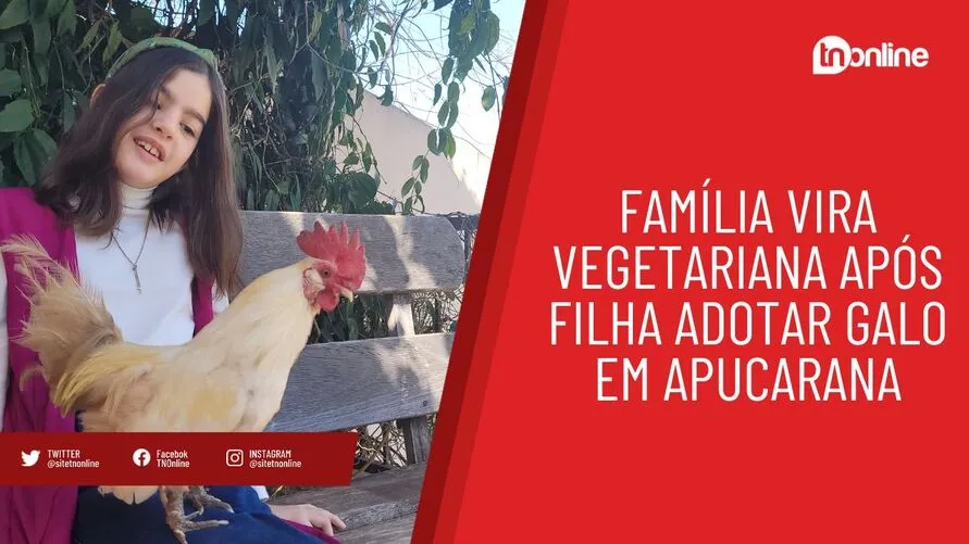 Família vira vegetariana após filha adotar galo em Apucarana