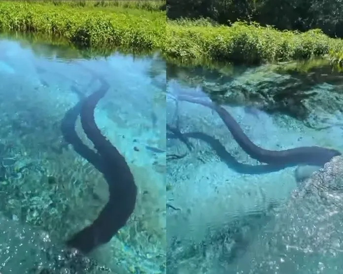 O caso aconteceu em Bonito, Mato Grosso do Sul