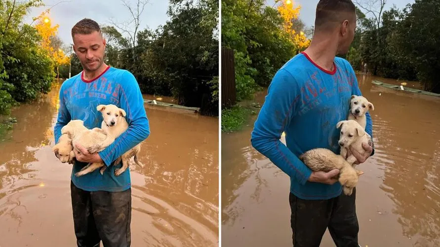 O morador de São Sebastião do Caí levou os animais para um local seguro