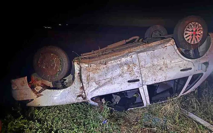 O motorista teria tentado desviar de um cachorro na pista e capotou