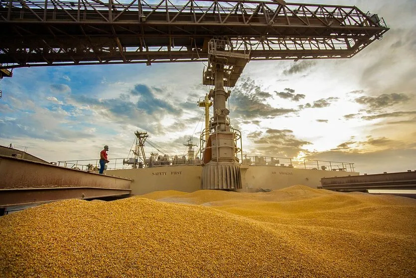 Os cereais, em especial o milho, acumularam US$ 792 milhões em vendas para os outros países no período analisado