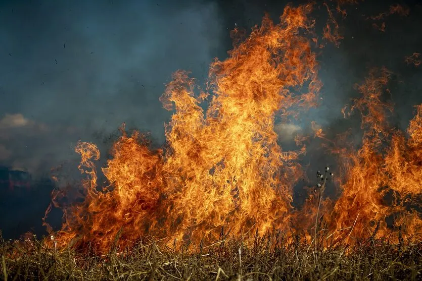 Os incêndios florestais são fenômenos naturais que se iniciam pela baixa umidade do ar e alta temperatura.