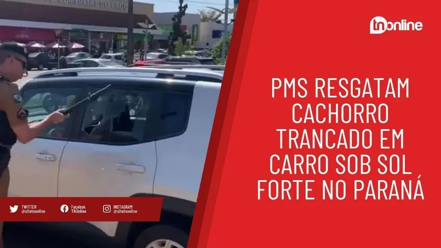 PMs resgatam cachorro trancado em carro sob sol forte no Paraná