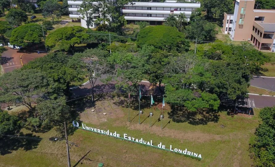 Todo o processo será acompanhado por professores do Departamento de Música e Teatro