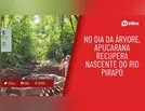 No Dia da Árvore, Apucarana recupera nascente do Rio Pirapó