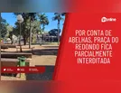 Por conta de abelhas, Praça do Redondo fica parcialmente interditada