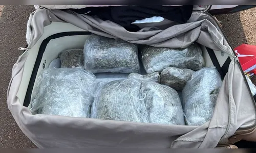 Receita Federal apreende 7 kg de drogas no Paraná nesta segunda (25)