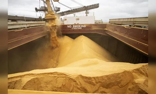 Exportações aumentam 11,7% nos primeiros oito meses de 2023