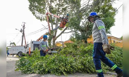 Temporais afetam rede de energia com cada vez mais intensidade