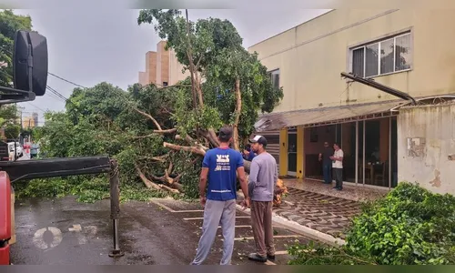 Volume de chuva chegou a 33,6 mm em Apucarana, diz Simepar