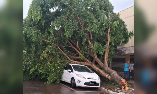 Ventos chegaram a 77,4 km/h em Apucarana, diz Simepar
