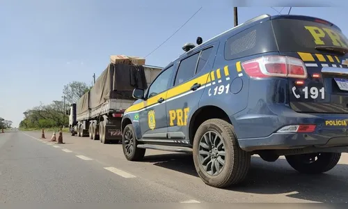 PRF apreende mais de 3,6 mil garrafas de vinho no Paraná