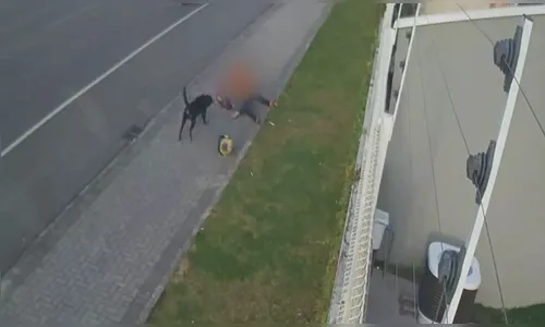 Vídeo mostra rottweiler atacando mulher e crianças no Paraná