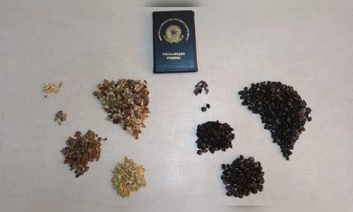 Lotes de café são recolhidos por indícios de fraude; veja marcas