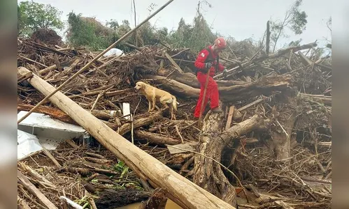 Bombeiros do PR renovam equipe no domingo, mas mantem missão no RS