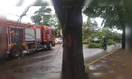 Temporal deixa um ferido e 30 moradores têm casas destelhadas