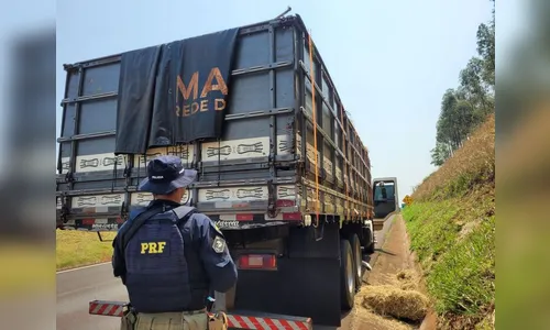 PRF encontra carga de contrabando escondida sob palha no Paraná; veja