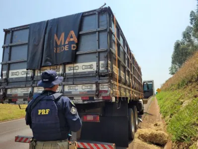 Carreta foi parada no município de Castelo Branco