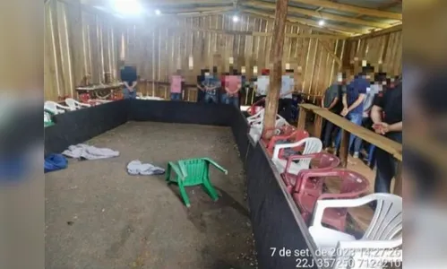 Após denúncia anônima, policiais flagram 30 pessoas em rinha de galo