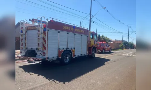 Mulher cadeirante é atacada por abelhas em ponto de ônibus