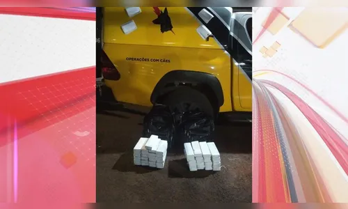 Casal é preso com 34 kg de maconha dentro de ônibus no PR