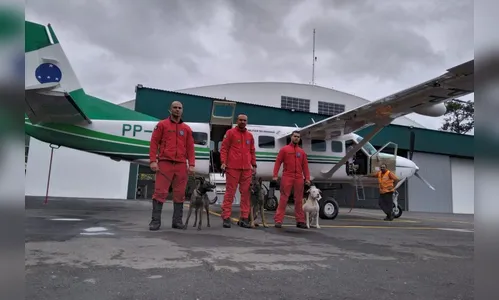 Bombeiros e cães do Paraná embarcaram para ajudar o Rio Grande do Sul