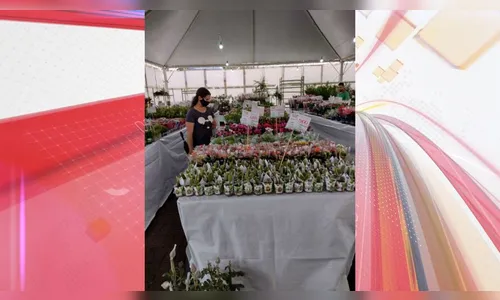 Expoflor em Apucarana: saiba quando e onde vai acontecer