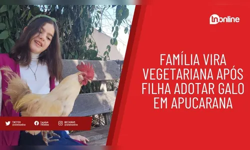 Família vira vegetariana após filha adotar galo em Apucarana