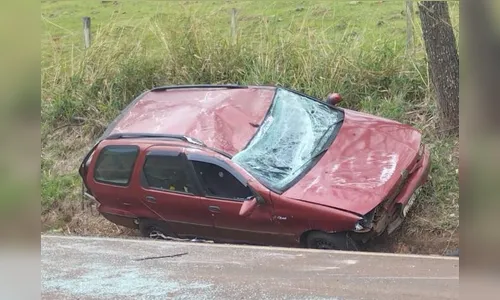 Motorista capota veículo após desviar de cachorro em rodovia