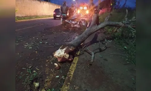 Galho cai e atinge motociclista durante ventania em Apucarana