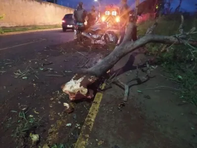 Galho de árvore caiu em motociclista